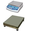CSG BCD DUAL SCALE REMOTE BASE COUNTING SYSTEM