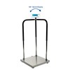 CSG EH-MS HANDRAIL PHYSICIAN SCALE