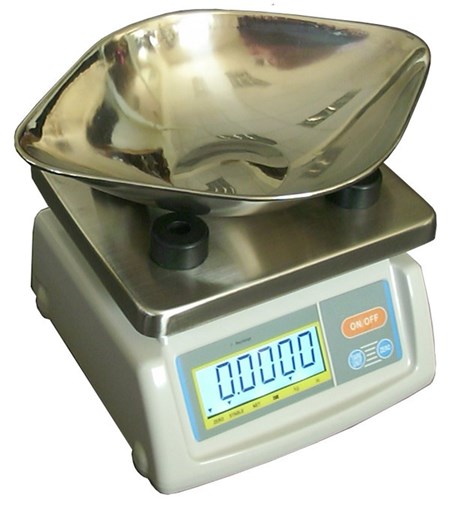 BAXTRAN BS  | weighingscales.com