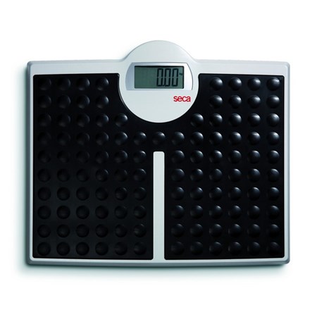 SECA MODEL 813  | weighingscales.com