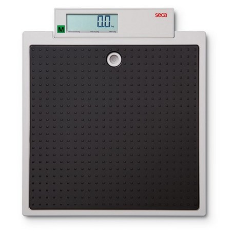 SECA MODEL 875 | weighingscales.com